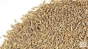 Cumin Seeds