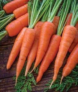 Fresh Carrot