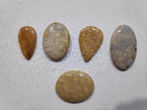 Natural Coral Stones Gemstones