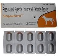 Slayworm(Praziquantel Pyrantel Embonate & Febantel) Tablets