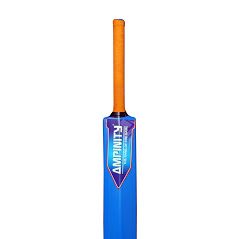 plastic cricket bat