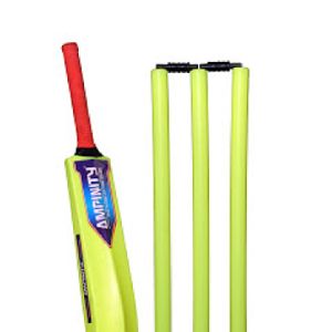 Plastic Cricket Set