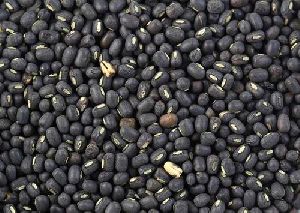 Black Urad Dal