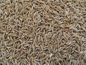 Brown Cumin Seeds