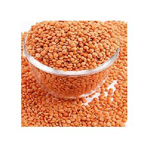 Red Lentils