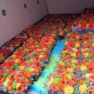 Flower Cold Storage Room