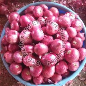 Pink Onion
