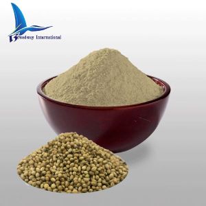 Coriander Seed Powder