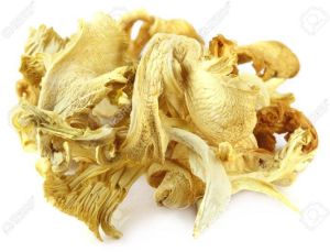 Dried Oyster Mushroom