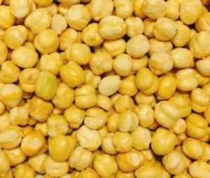 white chickpea