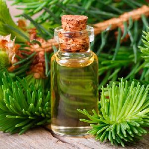 Fir Balsam Absolute Oil