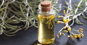 helichrysum absolute oil