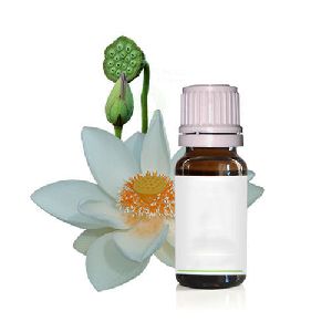 Lotus White Absolute Oil