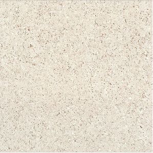 600X600 MM Light Series Double Charged Vitrified Tiles