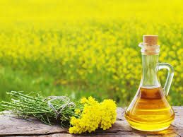 Mustard Solvent Oil