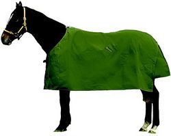Plain Horse Blanket