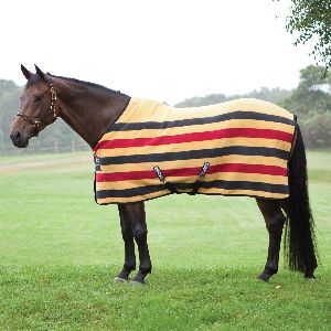 Striped Horse Blanket