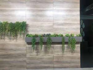 300 X 600 MM Digital Wall Tiles