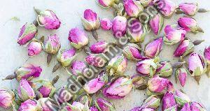 Dried Rose Buds