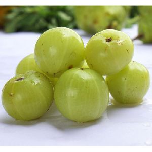 Organic Amla