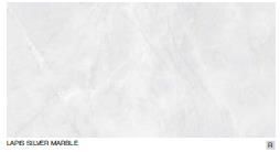Lapis Silver Marble Digital Wall Tiles