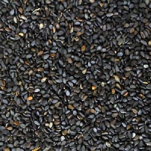 Black Sesame Seed