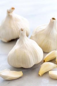 Fresh Garlic