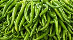 Fresh Green Chilli