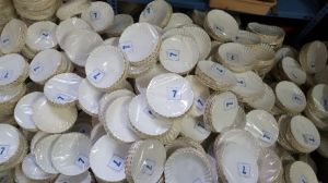 Disposable Paper Plates