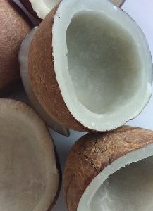 Dry Coconut