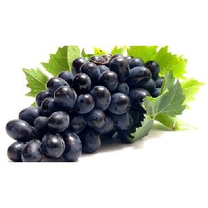 Fresh Black Grapes