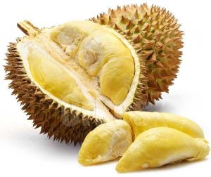 Fresh Durian Fruit