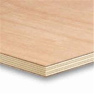 Birch Plywood