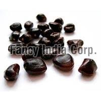 Tamarind Seed Extract