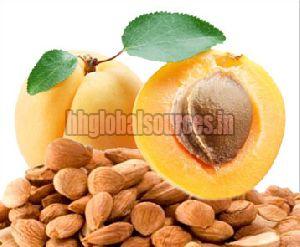 Apricot Kernels