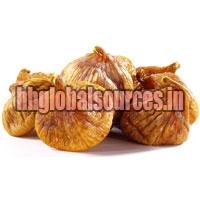 Brown Turkey Fig