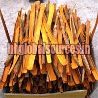 Cassia Splits