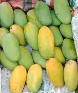 Fresh Dasheri Mango