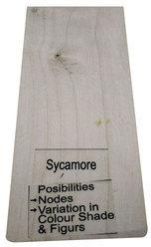 Sycamore Wood