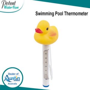 Swimming Pool Thermometer