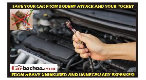 Car Anti Rat Coating Service