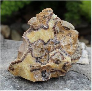 Septaria Rough Stone