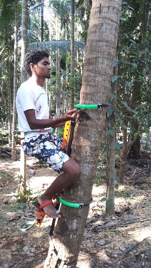 Coconut Tree Climber