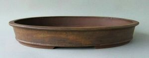 bonsai pot