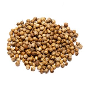 Coriander Seeds