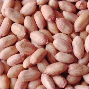 Groundnuts Kernels