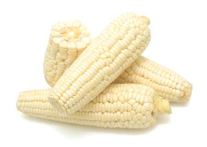 White Corn