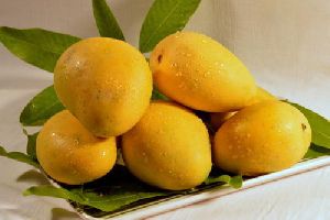 Premium Badami Mango