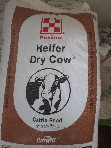 Heifer Dry Cow Cattle Feed