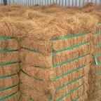 Coir Fiber